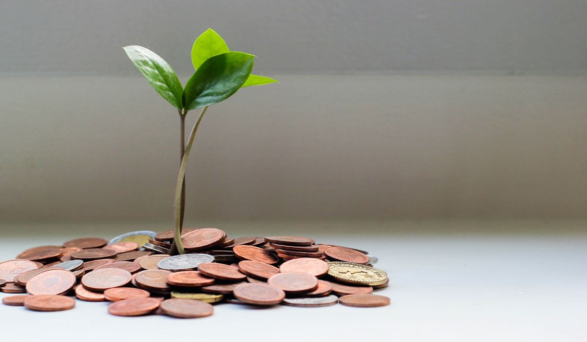 A plant sprout growing from coins.